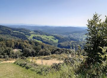 germany/bavarian-forest-national-park/attraction/willi-scheiter