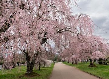 kentucky/frankfort/attraction/the-lexington-cemetery