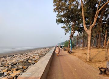 india/digha/attraction/sea-beach-forest