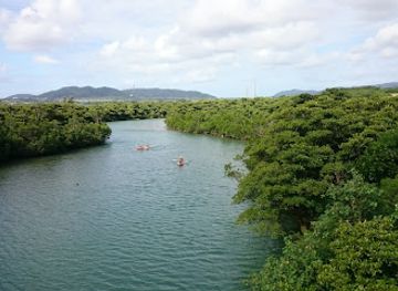 japan/ishigaki-island/attraction/miyaranokawanohirugibayashi