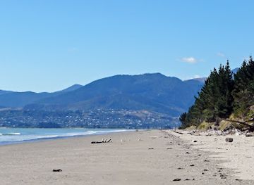 new-zealand/tasman/attraction/moturoa-rabbit-island