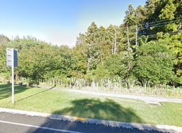 new-zealand/new-plymouth/attraction/ngahere-scenic-reserve