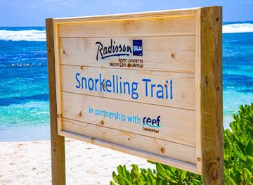 mauritius/riviere-du-rempart/attraction/snorkelling-trail-reef-conservation