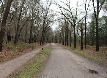 netherlands/west-friesland/attraction/recreation-area-the-pit-of-drakensteyn