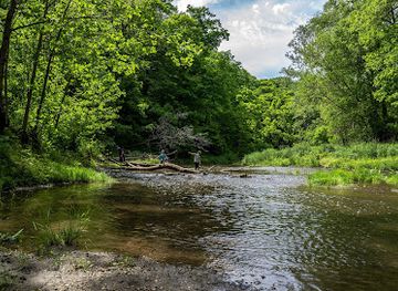 iowa/historic-hills-scenic-byway/attraction/wildcat-den-state-park