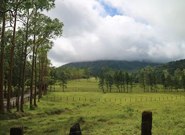 costa-rica/la-fortuna/attraction/frog-pond