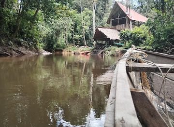 colombia/leticia/attraction/gecko-aventura-extrema