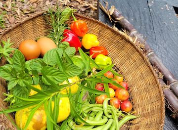 dominica/saint-david/attraction/d-smart-farm