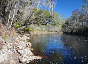 florida/juniper-springs-recreation-area/attraction/big-shoals-wildlife-management-area-zone-b