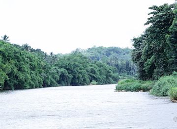 sri-lanka/kegalle-district/attraction/kos-kale-forest