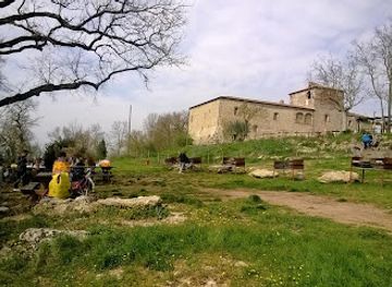 italy/val-di-chiana/attraction/saltalbero-adventure-park