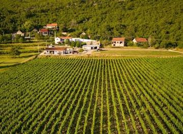 croatia/makarska/attraction/krolo-winery