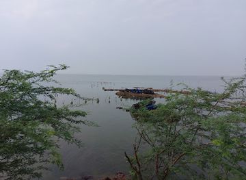 india/northern-plains/attraction/pulicat-bird-sanctuary