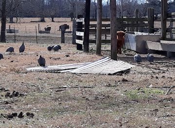 alabama/tuskegee-national-forest/attraction/sleepy-hollow-haunted-farm