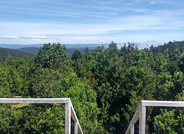 chile/valdivia/attraction/reserva-natural-pilunkura