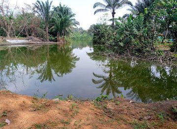 cameroon/centre-region/attraction/parcours-vita