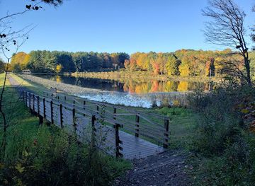 ohio/dundee-falls/attraction/the-wilderness-center