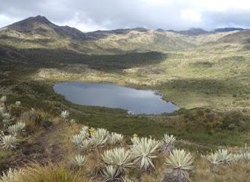 colombia/bogota/attraction/natural-chingaza-punto-de-atencion-piedras-gordas-national-park