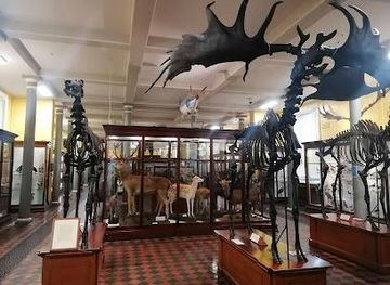 ireland/bray/attraction/national-museum-of-ireland-natural-history