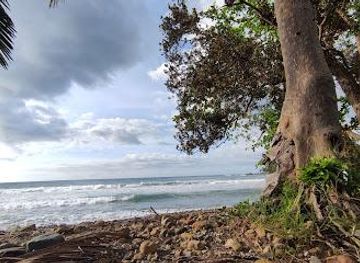 philippines/puerto-princesa/attraction/bacungan-river