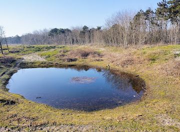 belgium/de-haan/attraction/duinbossen