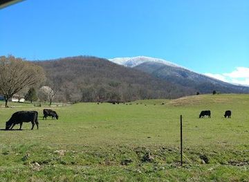 tennessee/gatlinburg/attraction/wears-valley