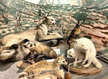 colorado/durango/attraction/durango-wildlife-museum
