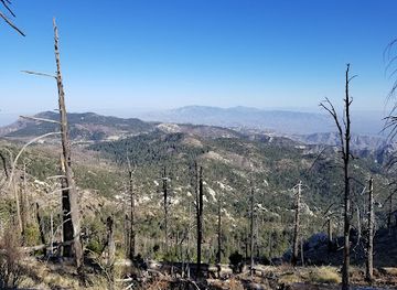 arizona/saguaro-national-park/attraction/mt-lemmon-sky-center-observatory