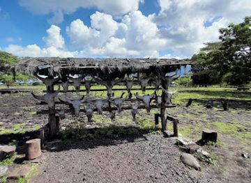 indonesia/east-java/attraction/africa-van-java