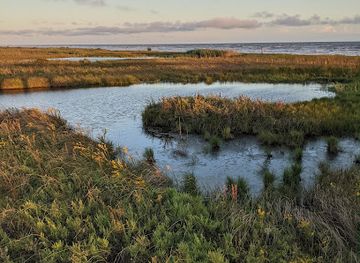 texas/gulf-coast/attraction/sea-rim-state-park