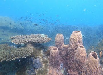 cambodia/preah-sihanouk/attraction/pink-mountains-diving-and-snorkeling-area