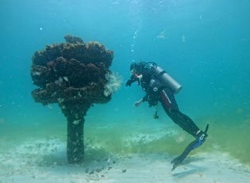 florida/pensacola-beach/attraction/pensacola-beach-gulf-side-artificial-reef
