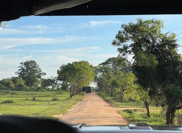 sri-lanka/udawalawe-national-park/attraction/udawalawe-wild-ronde-safari