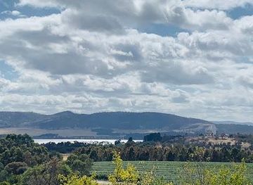 australia/hobart/attraction/craigow-vineyard