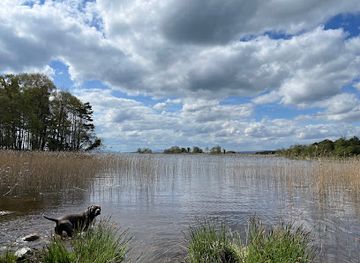 ireland/county-galway/attraction/portumna-forest-park