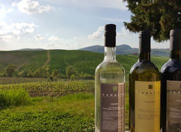 italy/montepulciano/attraction/azienda-agricola-canneto