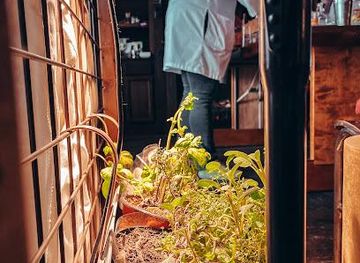 washington/bellevue/attraction/greenfire-loft