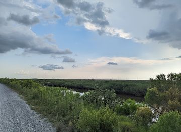louisiana/grand-isle-state-park/attraction/elmer-s-island-beach