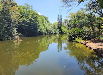 south-africa/pretoria/attraction/jan-cilliers-park