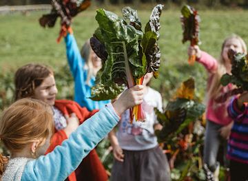 jersey/saint-saviour/attraction/sprouts-farm-club