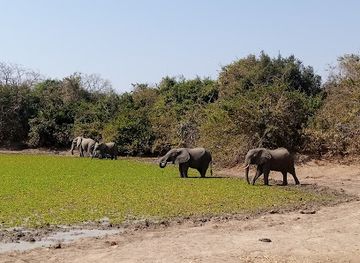 zambia/chipata/attraction/wild-tours-and-safaris