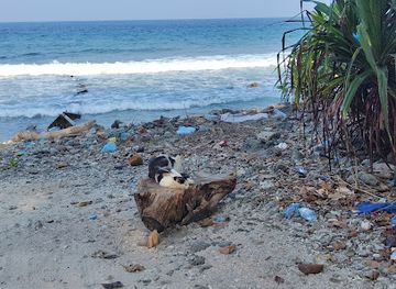 maldives/haa-dhaalu-atoll/attraction/sunrise-view-beach