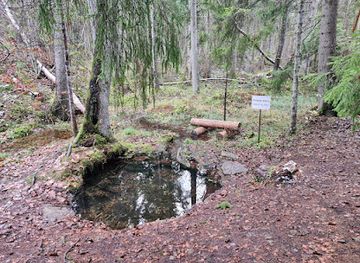 estonia/kuressaare/attraction/korgema-volualligas