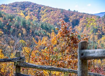 north-carolina/great-smoky-mountains/attraction/cataloochee-valley-elk-watching