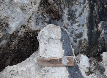 austria/kaiser-mountains/attraction/krampuswand