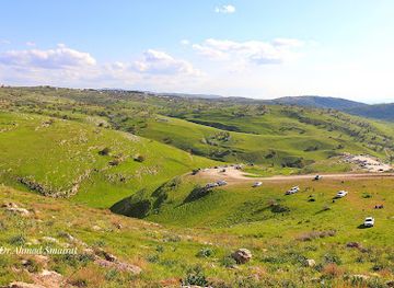 jordan/ajloun-forest-reserve/attraction/um-al-namel-viewpoint