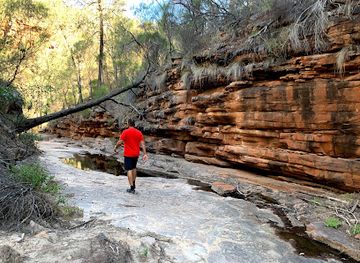 australia/flinders-ranges/attraction/alligator-gorge