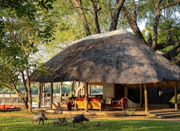 zambia/kasanka-bat-forest/attraction/nkwali-camp