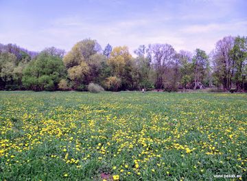 czechia/ostrava/attraction/louky