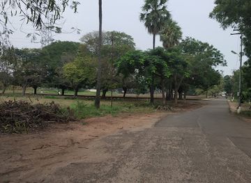 india/coimbatore/attraction/botanical-survey-of-india-southern-regional-centre